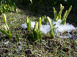 frühling wandern ferienwohnung haus gisela mayrhofen